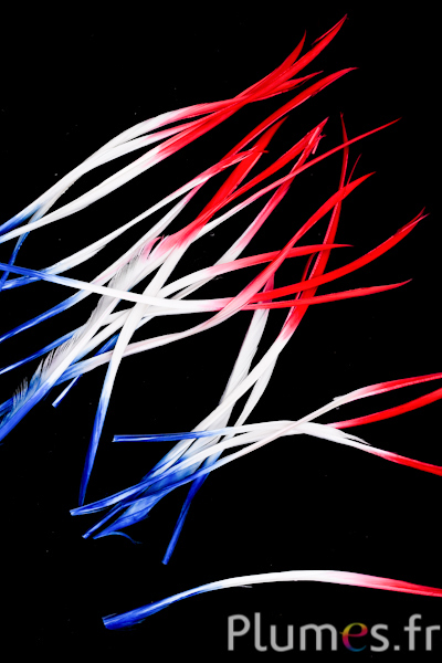 Oie strippé  - 10-17 cm - bleu-blanc-rouge